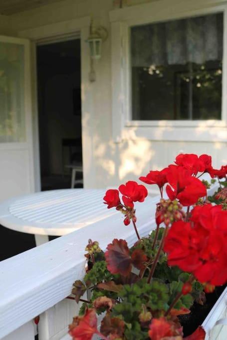 Aengelsbaecksstugan Båstad Kültér fotó